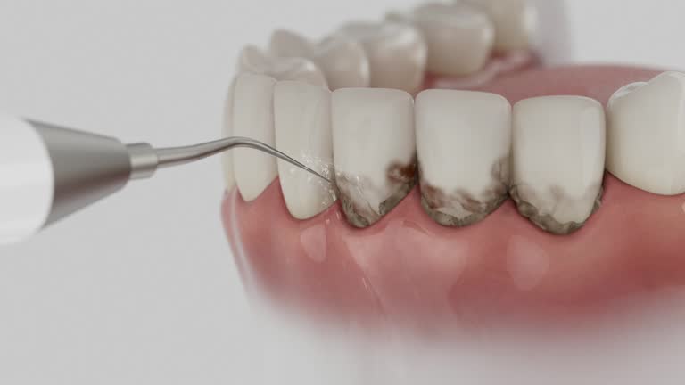 Reliable Dental contractor in Concord, VA by Dentist Open Now